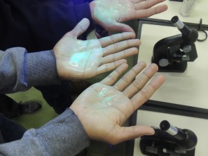 DSCN4226 