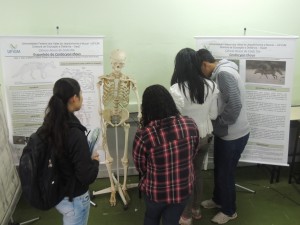 DSCN4238 